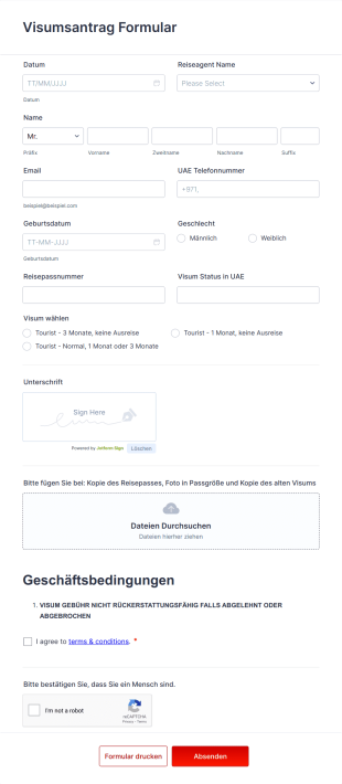 Visumsantrag Formular Form Template
