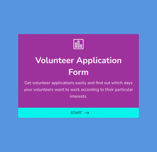 Volunteer Application Form Template