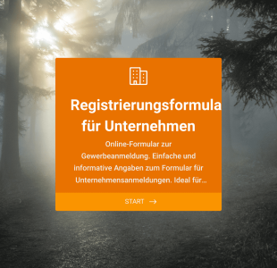 Vorlage: Registrieren Sie Ihr Unternehmen Form Template