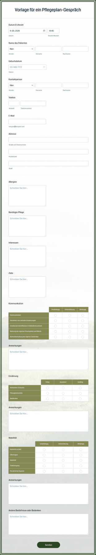 Vorlage Für Ein Pflegeplan Gespräch