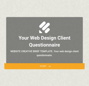 Votre Questionnaire Client De Conception Web