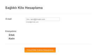 Vücut Kitle İndeksi Hesaplama Form Şablonu