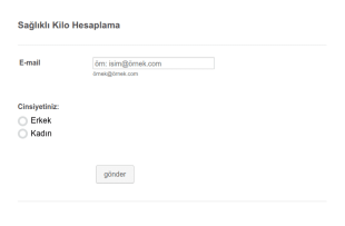 Vücut Kitle İndeksi Hesaplama Form Şablonu