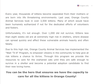 Wait 'Til 8 Enrollment Form Template