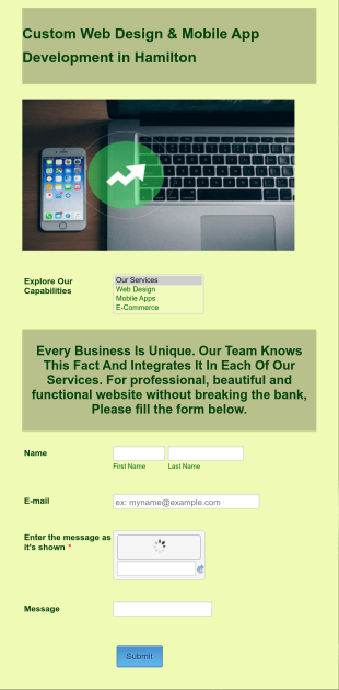 Web Development Inquiry Form Template