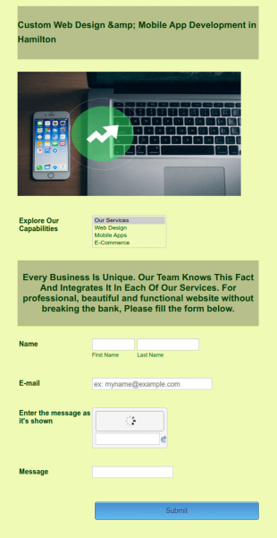 Web Development Inquiry Form Template