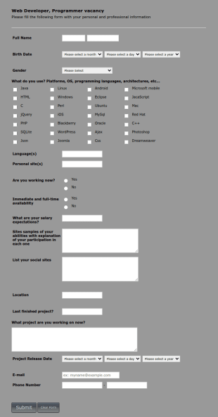 Web Developer/Programmer Application Form Template
