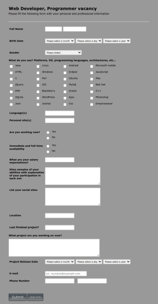 Web Developer/Programmer Application Form Template