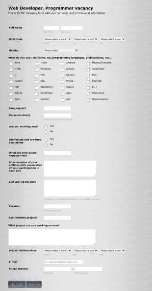 Web Developer/Programmer Application Form Template