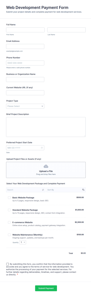 Web Development Payment Form Template