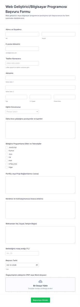 Web Geliştirici/Bilgisayar Programcısı Başvuru Form Şablonu