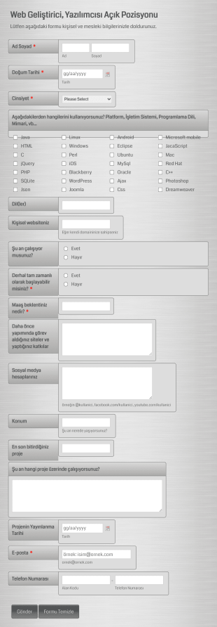 Web Geliştirici/Yazılımcısı Başvuru Form Şablonu