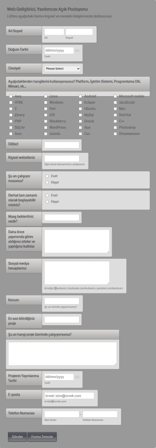 Web Geliştirici/Yazılımcısı Başvuru Form Şablonu