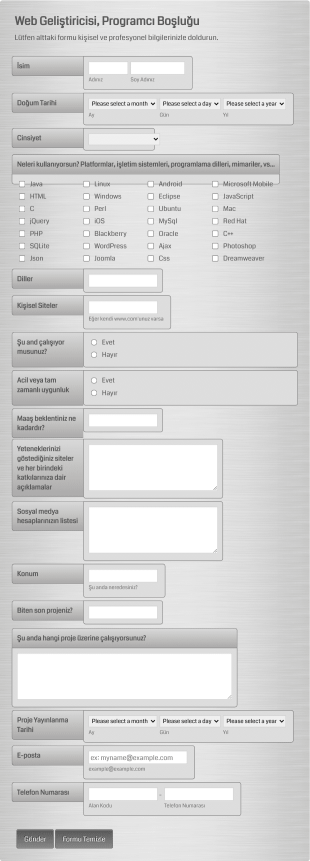 Web Geliştiricisi Ve Programcı İş Başvuru Form Şablonu