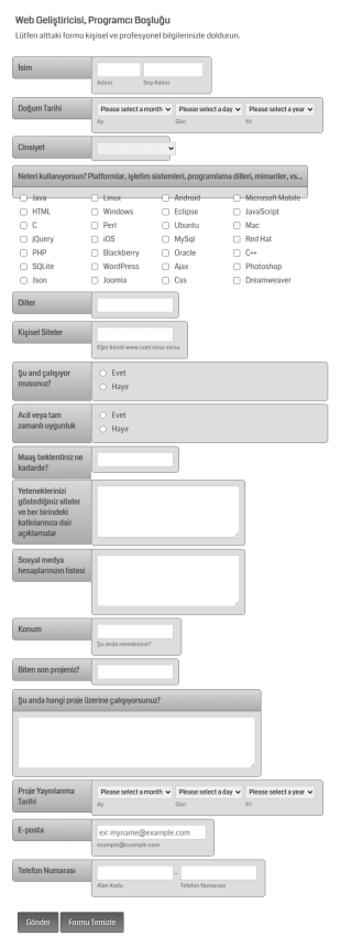 Web Geliştiricisi Ve Programcı İş Başvuru Form Şablonu