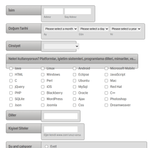 Web Geliştiricisi Ve Programcı İş Başvuru Form Şablonu