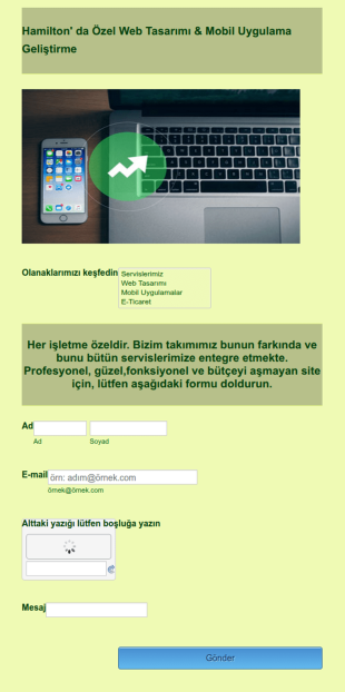 Web Geliştirme Sorgulama Form Şablonu