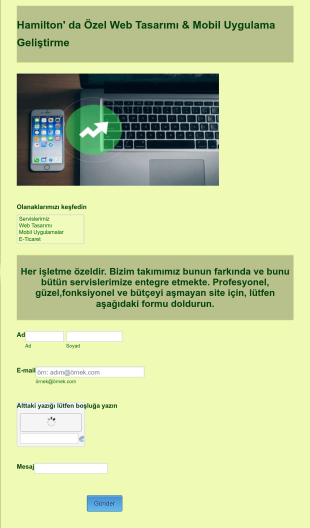 Web Geliştirme Sorgulama Form Şablonu