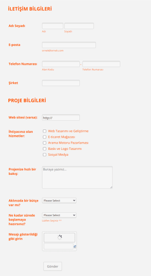 Web Sayfası Tasarım Fiyat Teklif Form Template