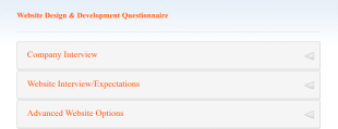 Website Design & Development Questionnaire Form Template