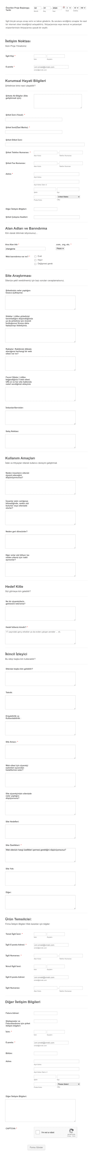 Web Site Tasarım İstek Form Template