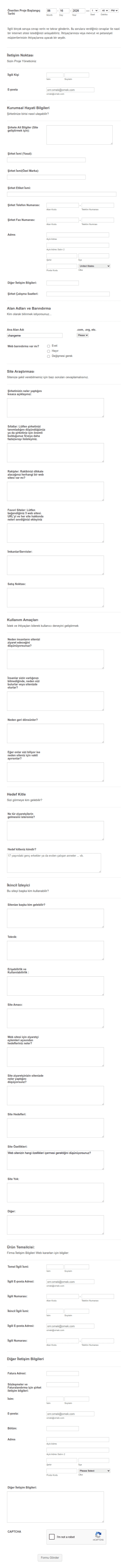 Web Site Tasarım İstek Form Şablonu