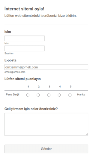 Web Sitemi Puanla Form Şablonu
