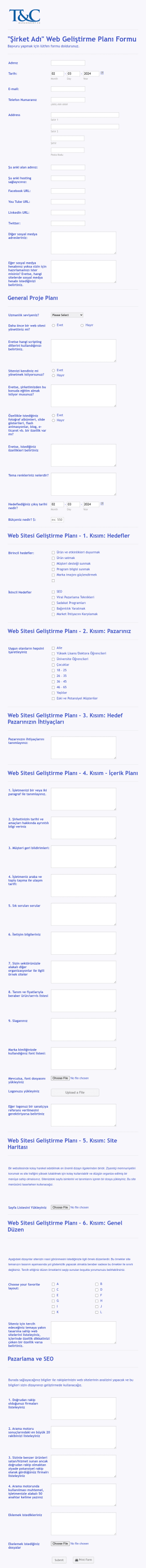 Web Sitesi Gelistirme Basvuru Form Template