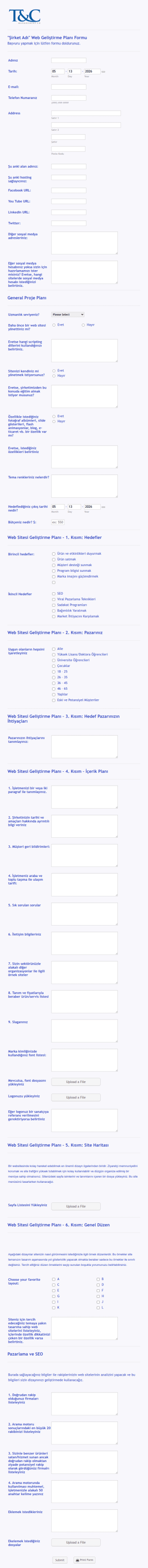 Web Sitesi Gelistirme Basvuru Form Şablonu