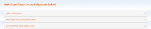 Web Sitesi Tasarımı Ve Geliştirme Anketi Form Şablonu