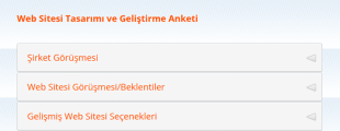Web Sitesi Tasarımı Ve Geliştirme Anketi Form Şablonu