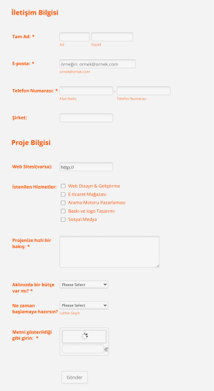 Web Tasarım Teklifi Form Şablonu