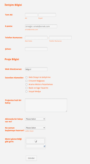 Web Tasarım Teklifi Form Şablonu