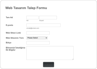 Web Tasarımı Talep Form Template