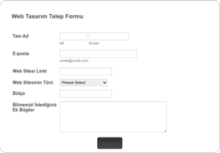 Web Tasarımı Talep Form Şablonu