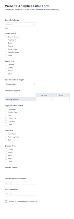 Website Analytics Filter Form Template