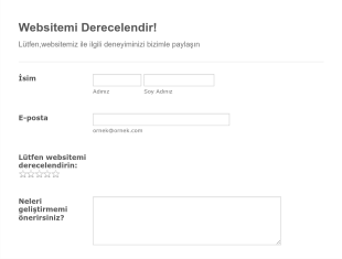 Website Değerlendirme Form Şablonu