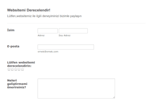 Website Değerlendirme Form Şablonu