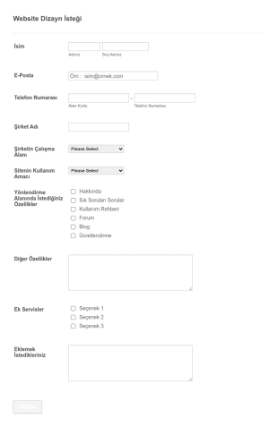 Website Dizayn Istegi Form Şablonu
