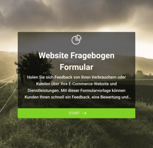 Website Fragebogen Formular Form Template