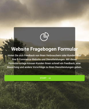Website Fragebogen Formular