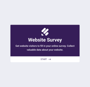 Website Survey Form Template