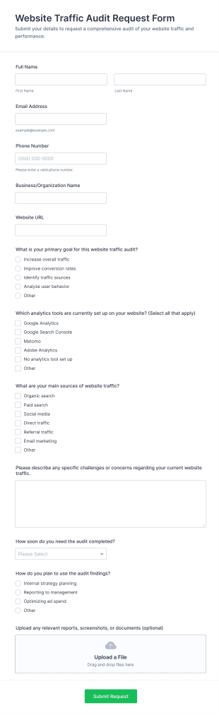 Website Traffic Audit Request Form Template