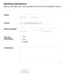 Wedding Appearance Form Template