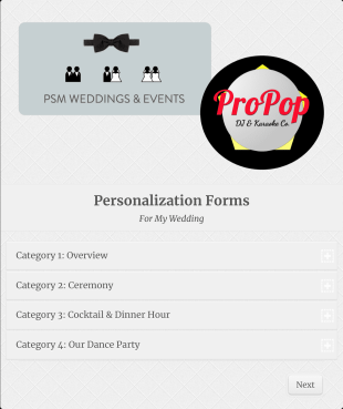 Wedding DJ Planning Forms Form Template