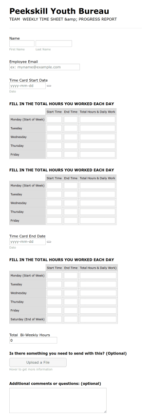 Weekly Timesheet And Progress Report Form Template