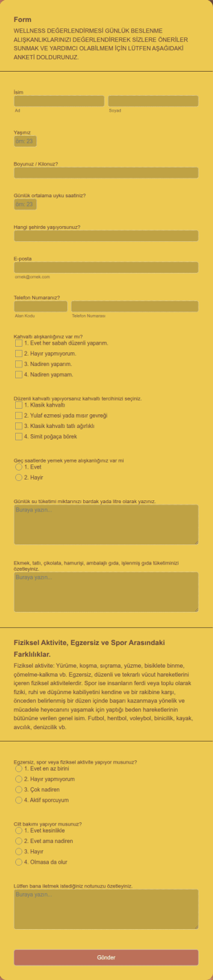 Wellness Anketi Form Şablonu