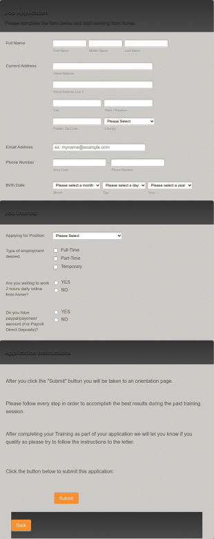 Work From Home Job Opportunity Form Template