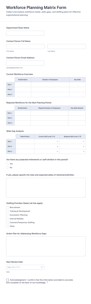 Workforce Planning Matrix Form Template