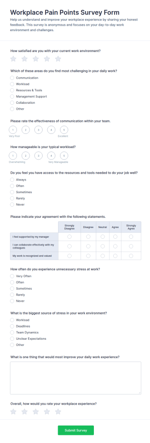 Workplace Pain Points Survey Form Template